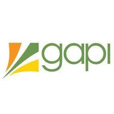 logo gapi mozambique